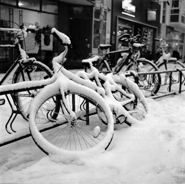 schneevelo